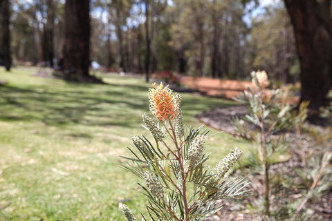 Amaroo Retreat & Spa - Kalgoorlie Accommodation 19