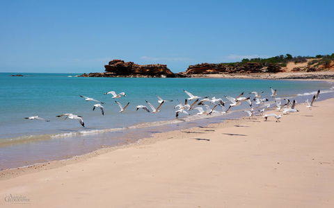 Apartments At Blue Seas Resort - Kalgoorlie Accommodation 25