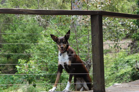 Ark Of Denmark - Kalgoorlie Accommodation 10