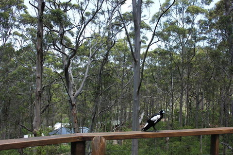 Ark Of Denmark - Kalgoorlie Accommodation 11