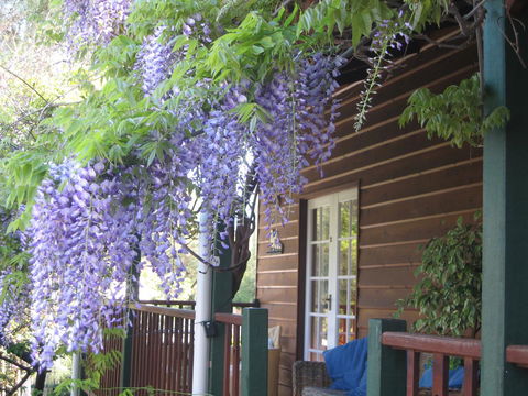 RoseMoore Bed & Breakfast - Kalgoorlie Accommodation 11