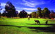 Novotel Vines Resort Swan Valley - thumb 3
