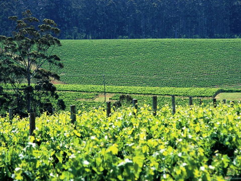 The Pemberton Hotel - Kalgoorlie Accommodation 5