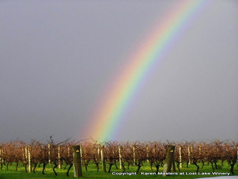 The Pemberton Hotel - Kalgoorlie Accommodation 41