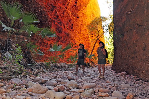 Bungle Bungle Wilderness Lodge - Kalgoorlie Accommodation 13