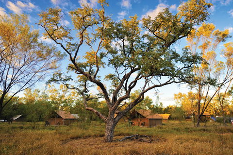 Bungle Bungle Wilderness Lodge - Kalgoorlie Accommodation 11