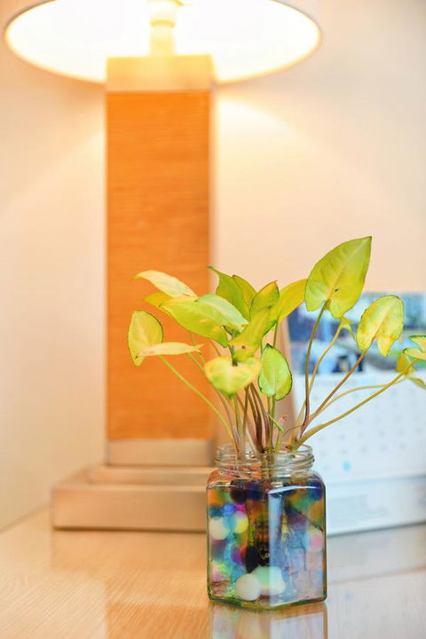 Bunbury Hotel Koombana Bay - Kalgoorlie Accommodation 7