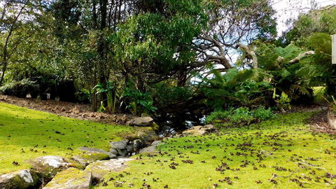 43 Degrees Bruny Island - Kalgoorlie Accommodation 8