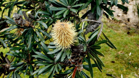 43 Degrees Bruny Island - Kalgoorlie Accommodation 11