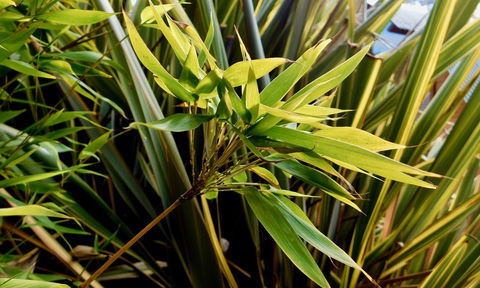 43 Degrees Bruny Island - Kalgoorlie Accommodation 10