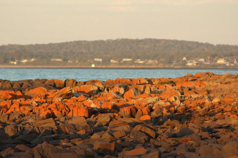 Tamar Solar Home - Kalgoorlie Accommodation 16