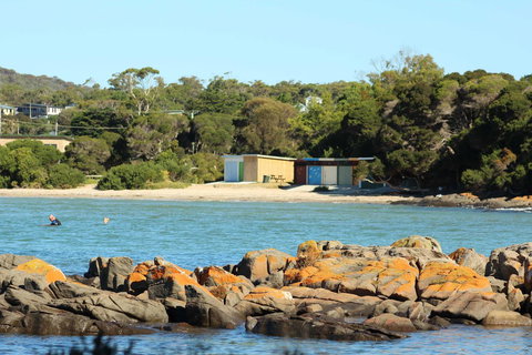 Tamar Solar Home - Kalgoorlie Accommodation 25