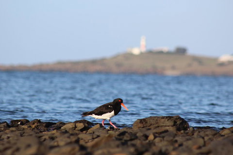 Tamar Solar Home - Kalgoorlie Accommodation 3