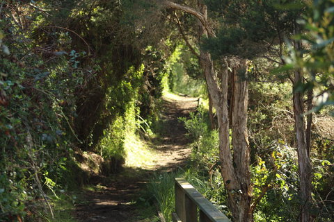 Tamar Solar Home - Kalgoorlie Accommodation 15