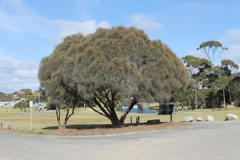 Bircoo Cottage Beach And Golf Getaway - Kalgoorlie Accommodation 12