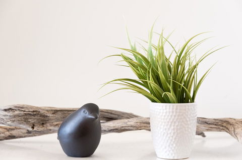 Sandy Bay Waterfront Home - Kalgoorlie Accommodation 35