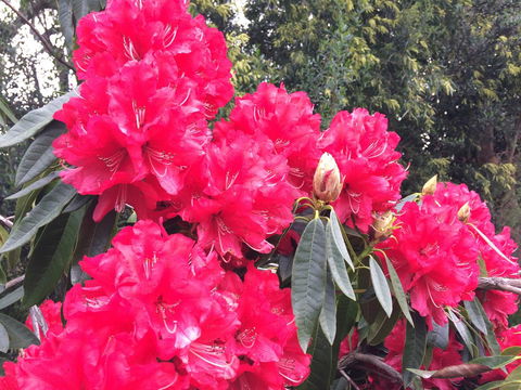 Anchorage Waterfront Retreat - Kalgoorlie Accommodation 29