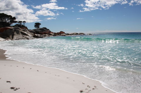 SEA EAGLE COTTAGE Amazing Views Of Bay Of Fires - Kalgoorlie Accommodation 14