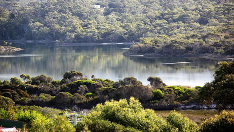SEA EAGLE COTTAGE Amazing Views Of Bay Of Fires - Kalgoorlie Accommodation 17