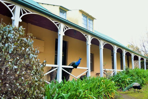Cleburne Homestead - Kalgoorlie Accommodation 29