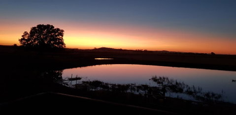 New Horizons Farm Stay - Kalgoorlie Accommodation 1