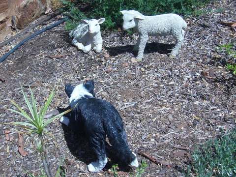 Old Miners' Cottages Bed And Breakfast - Kalgoorlie Accommodation 2