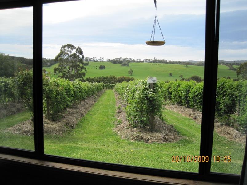  Kalgoorlie Accommodation