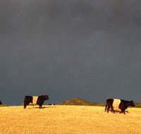 Peppertree Hill - Kalgoorlie Accommodation