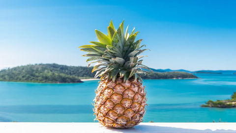 Pineapple House Whitsundays - Kalgoorlie Accommodation 0