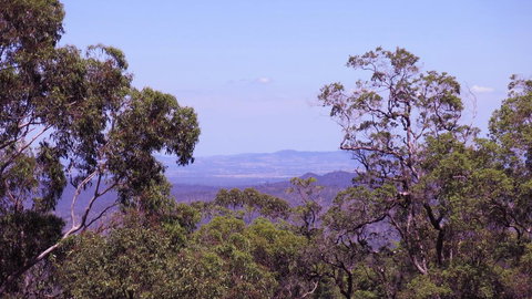 Ravensbourne Escape - Cedar Lodge - Kalgoorlie Accommodation 0