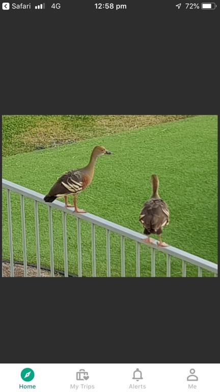 Resort Living - Kalgoorlie Accommodation 3