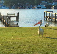 Riverfront Getaway - Mannum - Kalgoorlie Accommodation