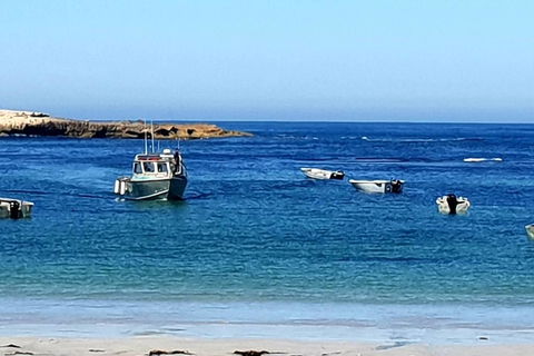 Rocks Retreat Cabin 3 - Lobster - Kalgoorlie Accommodation 2