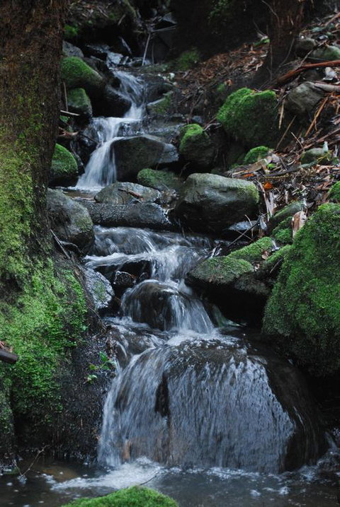Rocky Creek Art Garden B&B - Kalgoorlie Accommodation 3