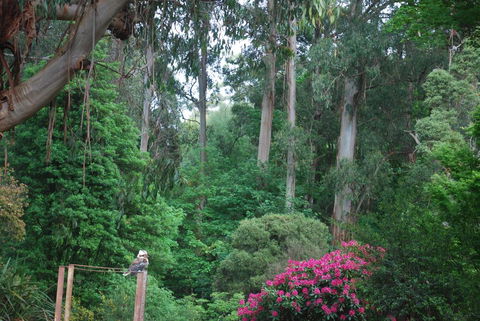 Rocky Creek Art Garden B&B - Kalgoorlie Accommodation 2