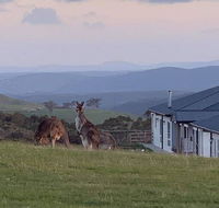 Rooks Edge - Kalgoorlie Accommodation