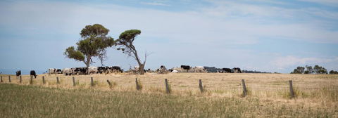SALT - 37 Oceanview Drive - Kalgoorlie Accommodation 2