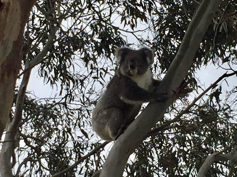 Seas The Day - Kalgoorlie Accommodation 1
