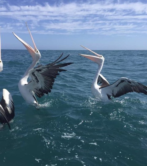 Seas The Day - Kalgoorlie Accommodation 3