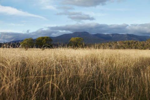 Second Flat Retreat - Kalgoorlie Accommodation 2