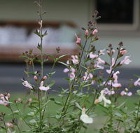 Serendipity on Allyn - Kalgoorlie Accommodation
