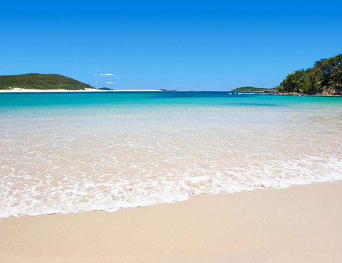 Shells On The Shore Holiday Accomm - Dolphins - Kalgoorlie Accommodation 0