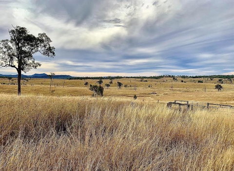 Skyline Farm House - Kalgoorlie Accommodation 3