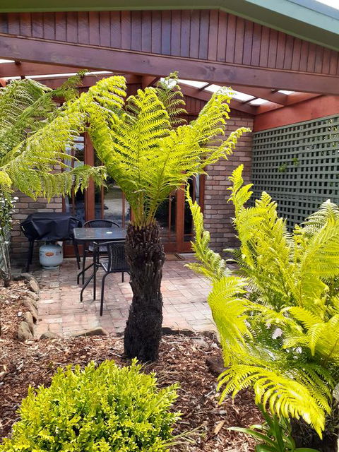 Sleepy Hollow Hideout (Hidout 2) - Kalgoorlie Accommodation 1