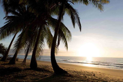 Spice At Oak Award Winning Luxury Absolute Oceanfront House Oak Beach Near Port Douglas - Kalgoorlie Accommodation 1