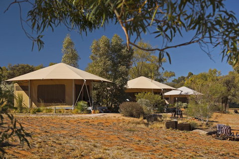 Squeakywindmill Boutique Tent B&B - Kalgoorlie Accommodation 0