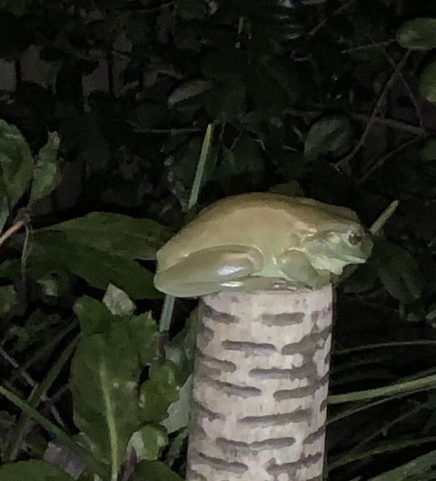 Studio With Stunning Mountain Views - Kalgoorlie Accommodation 3