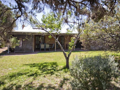 Tea Tree - Kalgoorlie Accommodation 1
