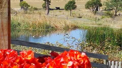 Hazelcreek Cottages - Kalgoorlie Accommodation 11