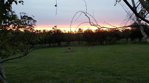 Hazelcreek Cottages - Kalgoorlie Accommodation 33